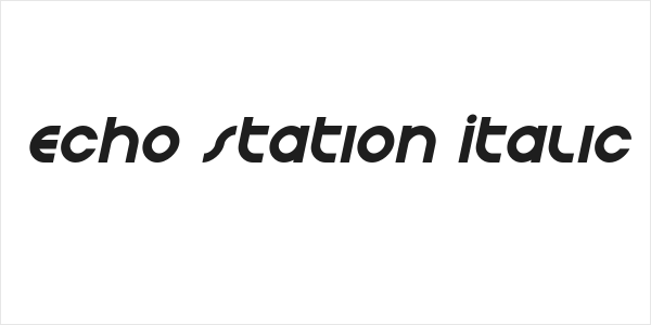 Echo Station Italic Logo