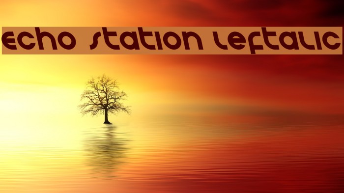 Echo Station Leftalic Font examples