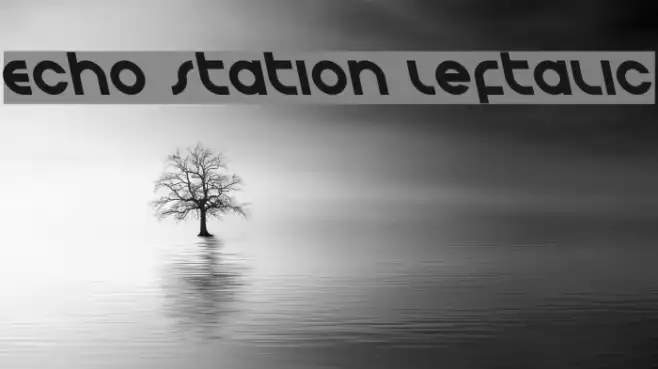 Echo Station Leftalic Example 1