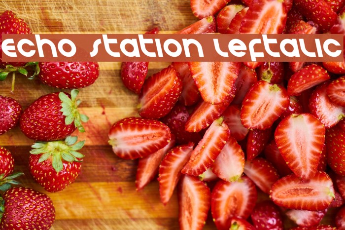 Echo Station Leftalic Font examples