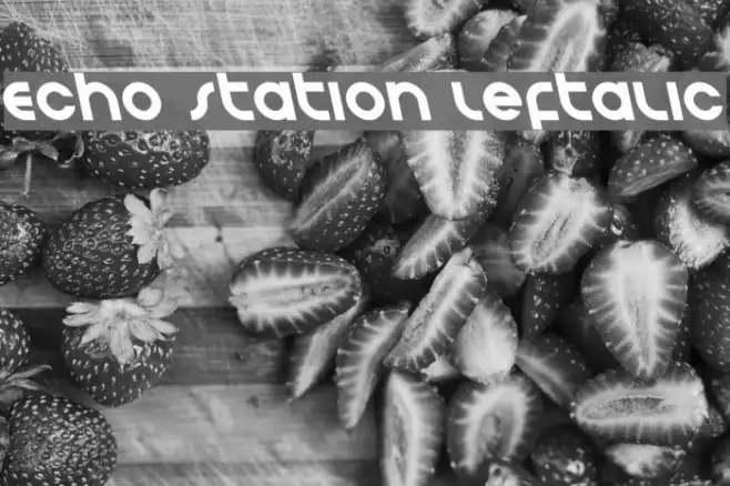 Echo Station Leftalic Example 2
