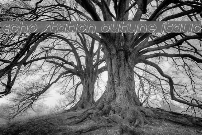 Echo Station Outline Italic Font examples