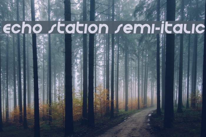 Echo Station Semi-Italic Example 3
