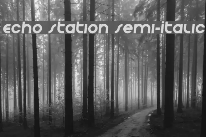 Echo Station Semi-Italic Font examples