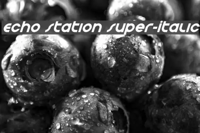 Echo Station Super-Italic Example 1