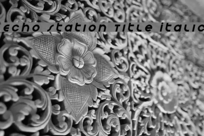 Echo Station Title Italic Font examples