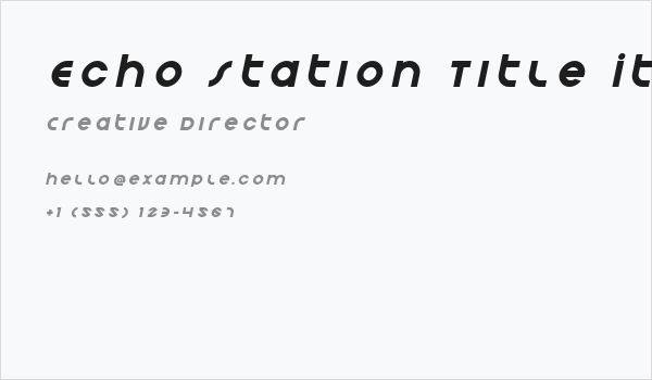 Echo Station Title Italic Business Card