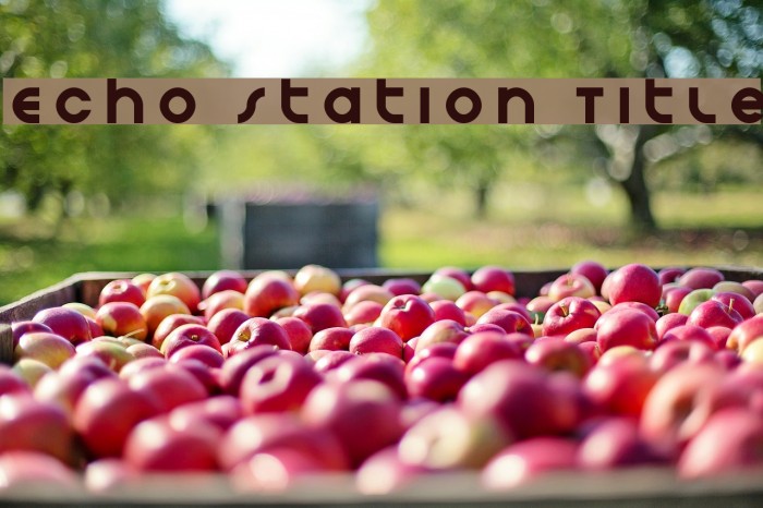 Echo Station Title Example 1