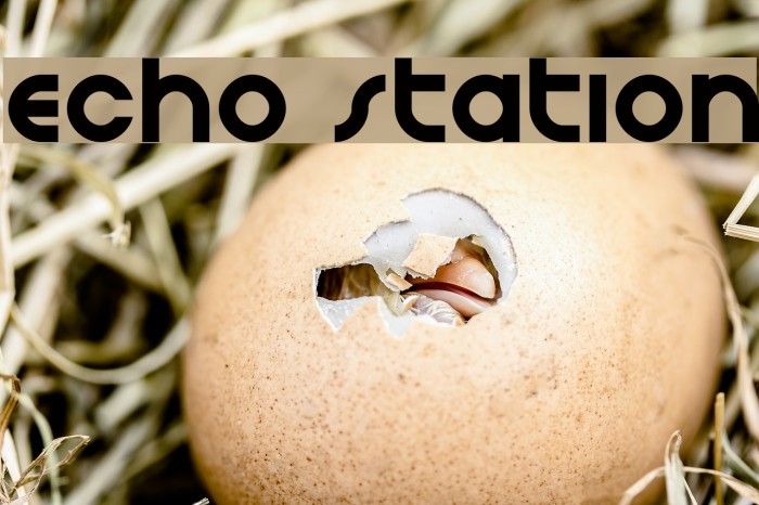 Echo Station Example 2
