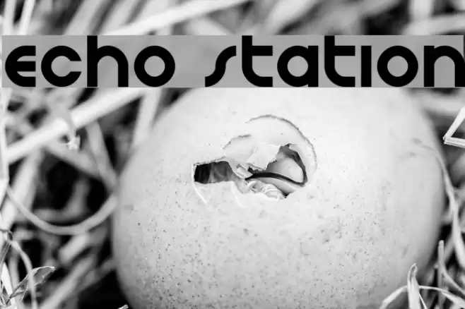 Echo Station Font examples