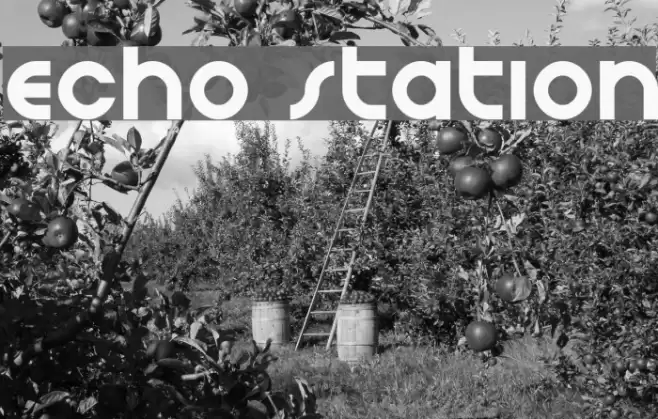 Echo Station Font examples
