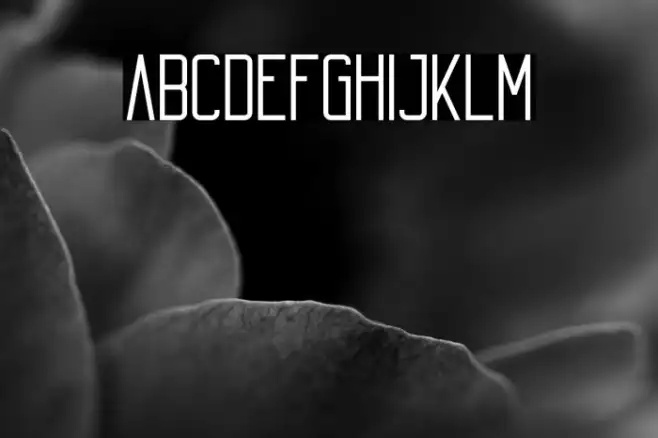 Echo Example 3