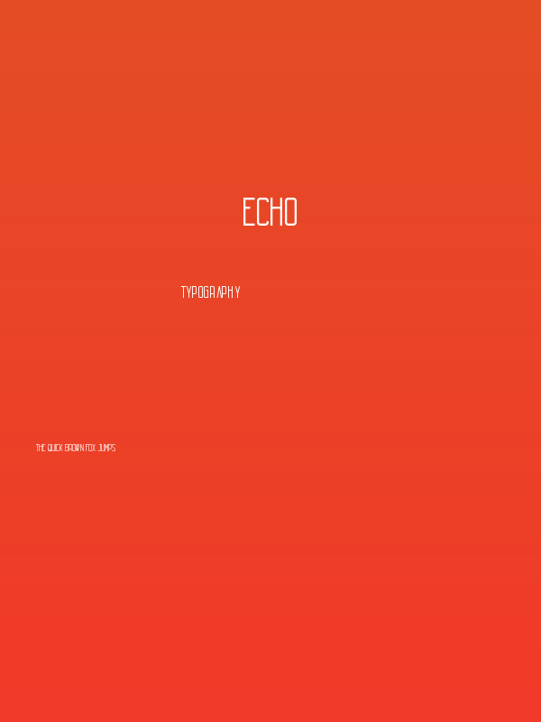 Echo Poster
