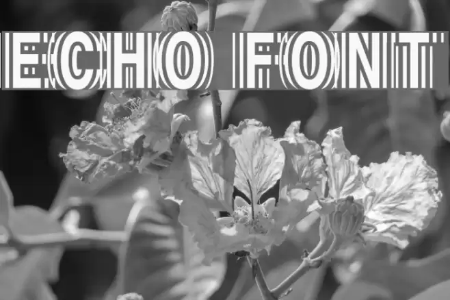 Echo Schriftart examples