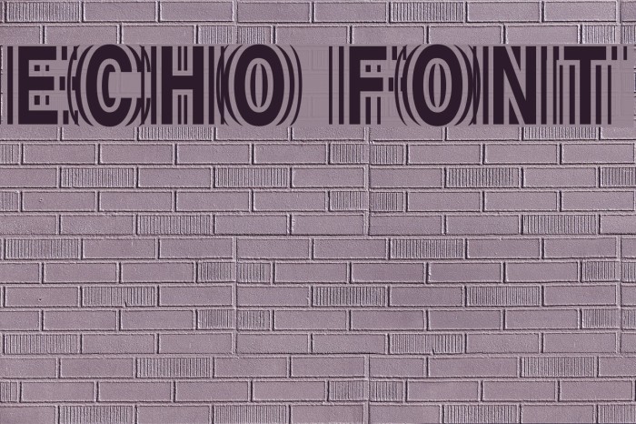 Echo Font examples
