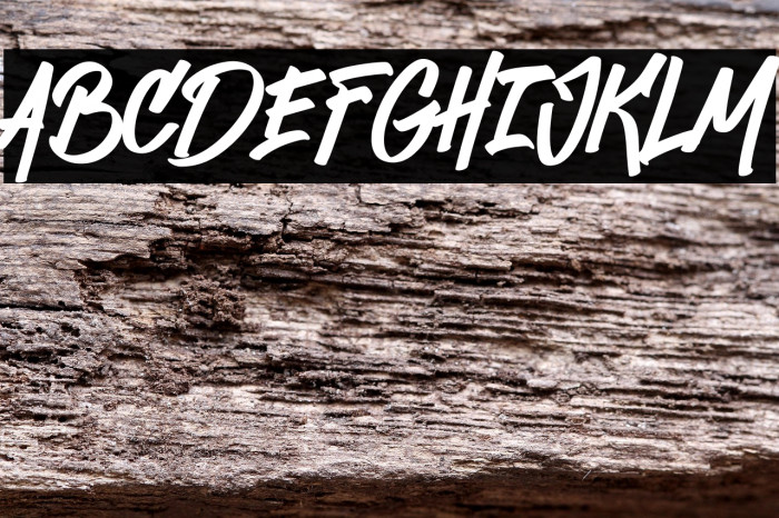 Echoed Vandalism DEMO Example 2