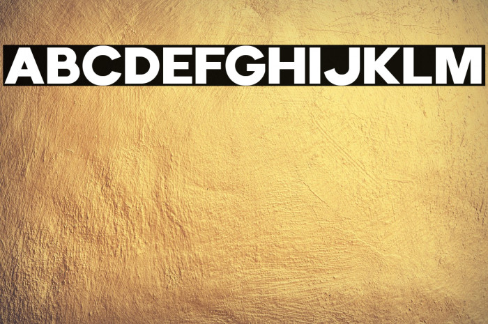 EchomotorsDemo Example 2