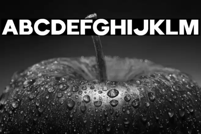 EchomotorsDemo Font examples