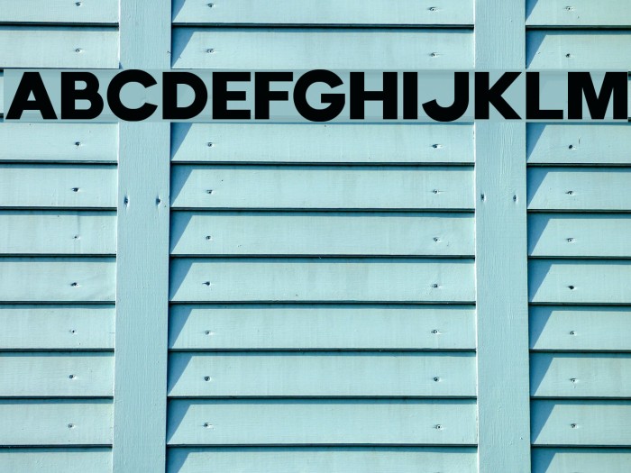 EchomotorsDemo Font examples