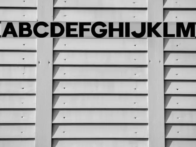 EchomotorsDemo Font examples