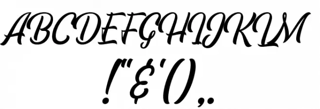 EchomotorsScriptDemo フォント その他の文字
