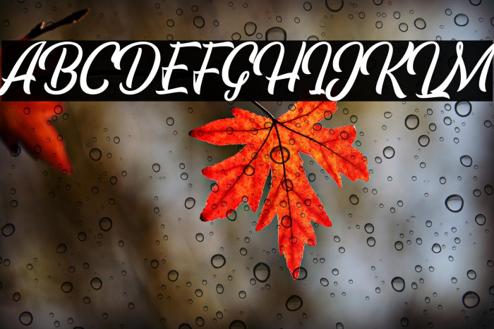 EchomotorsScriptDemo Example 1