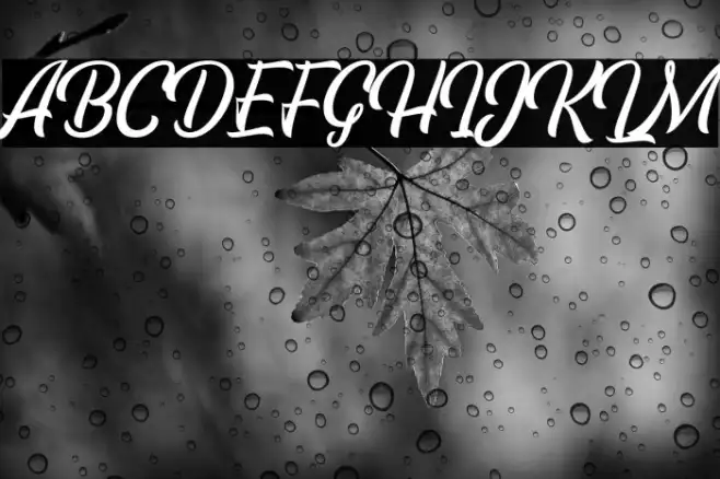 EchomotorsScriptDemo Example 1