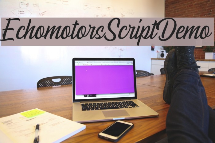 EchomotorsScriptDemo フォント examples