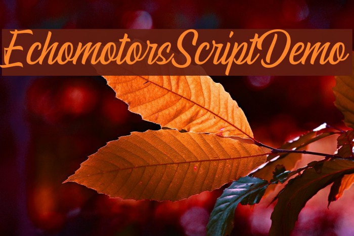 EchomotorsScriptDemo フォント examples