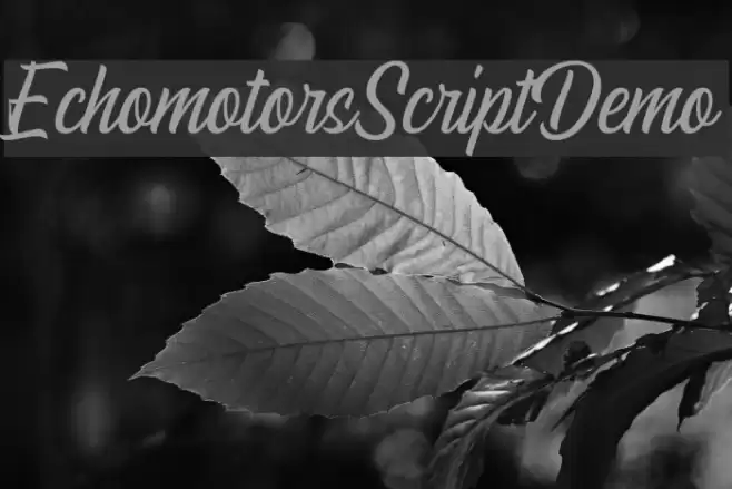 EchomotorsScriptDemo フォント examples