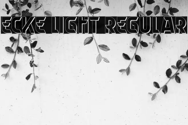 Ecke Light Regular Example 3