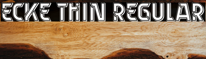 Ecke Thin Regular Example 1