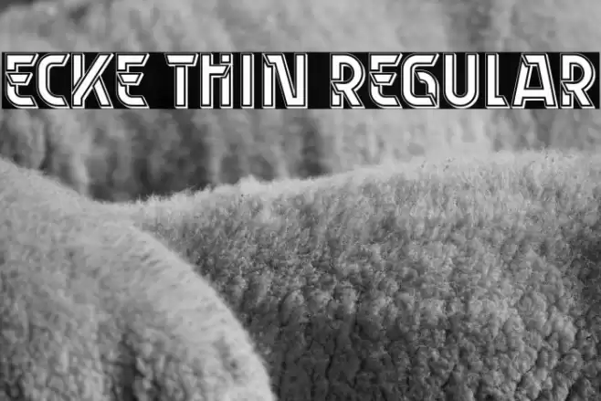Ecke Thin Regular Font examples
