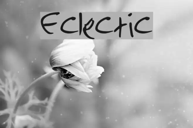 Eclectic  examples