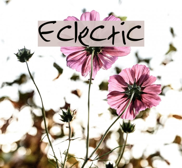 Eclectic Font examples