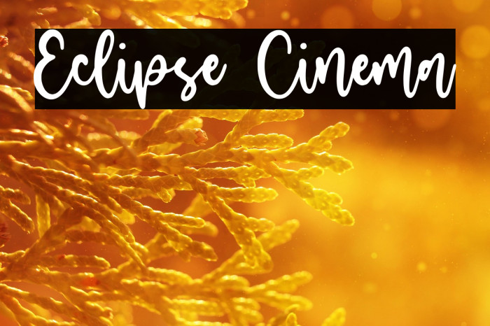 Eclipse Cinema Example 3