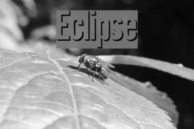 Eclipse Font examples