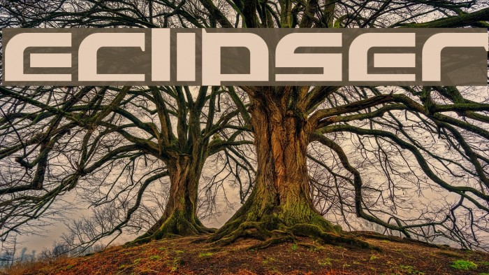 Eclipser Font examples