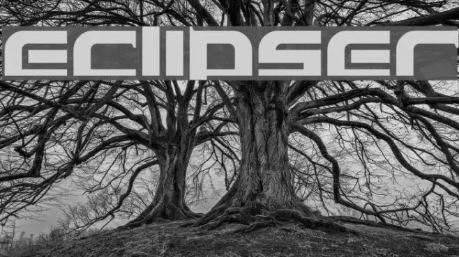 Eclipser Example 2