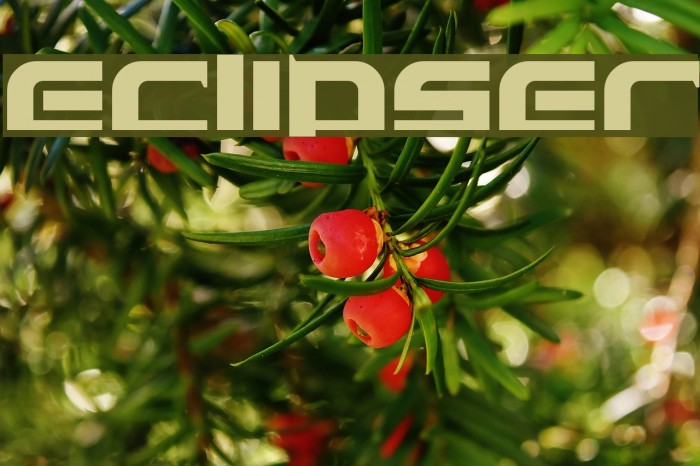 Eclipser Font examples