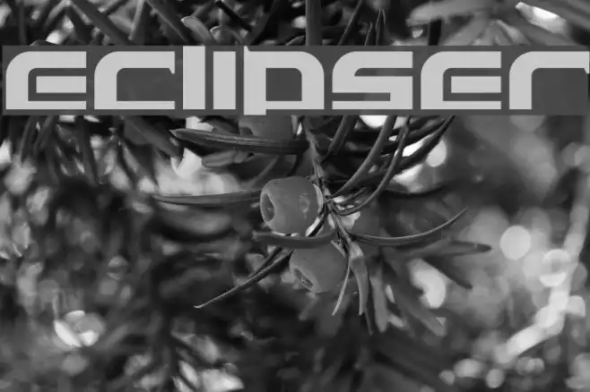 Eclipser Example 3
