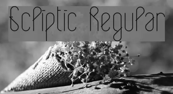Ecliptic Regular Example 2