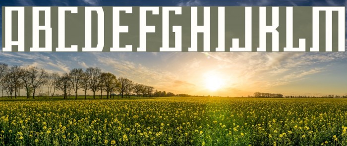 Eclix Font examples