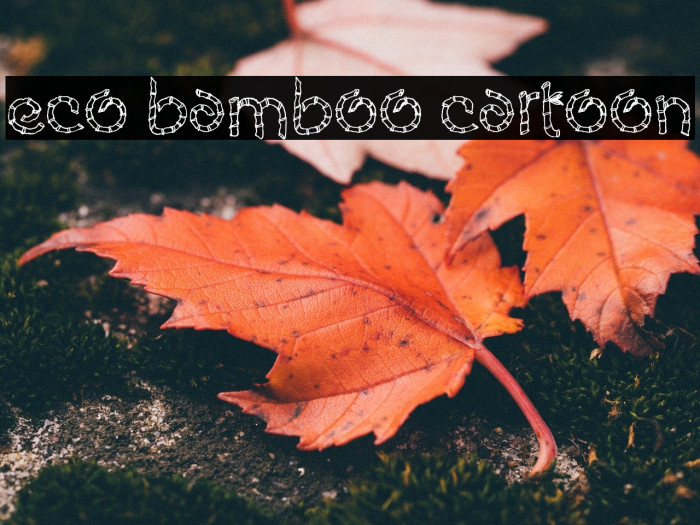 Eco Bamboo Cartoon Example 2