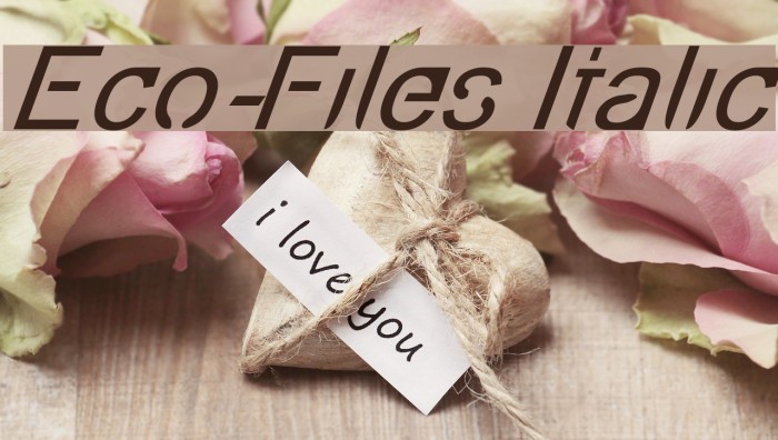 Eco-Files Italic Font examples
