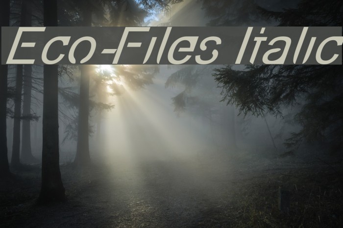 Eco-Files Italic Font examples