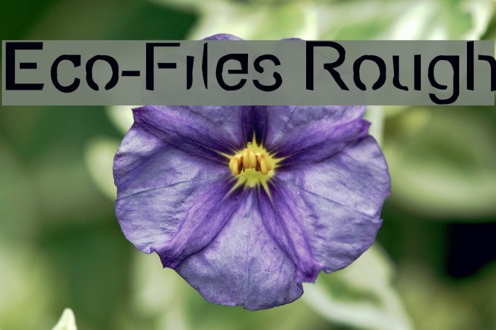Eco-Files Rough Font examples
