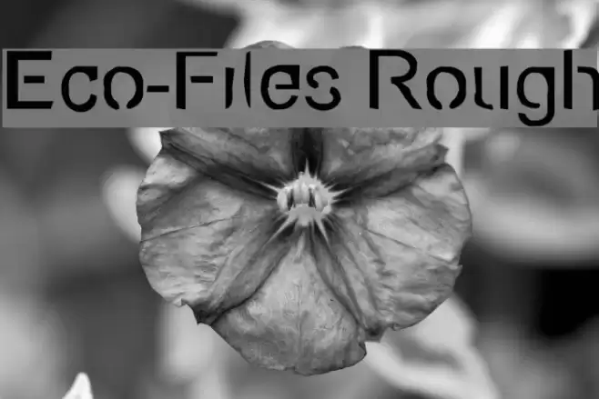 Eco-Files Rough Fuentes examples