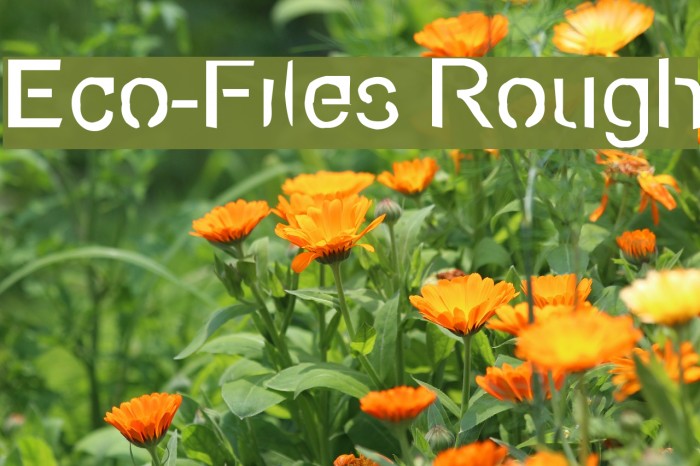 Eco-Files Rough Font examples