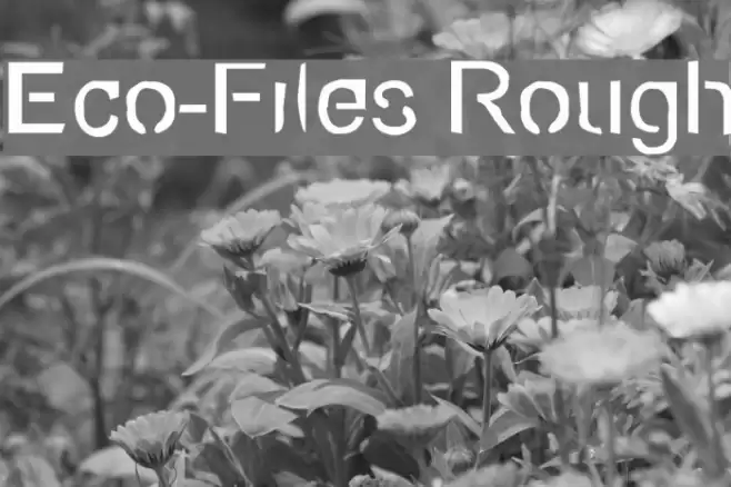 Eco-Files Rough Fuentes examples